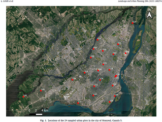 Urban tree diversity fosters bird insectivory despite a loss in bird diversity with urbanization