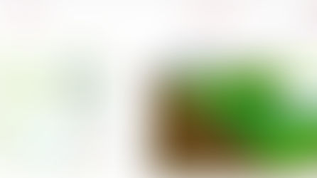 Etude des effets de la structure et la composition des paysages actuels et passés (...)