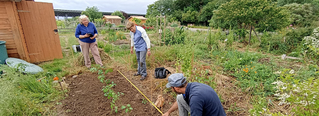 En savoir plus sur 2 projets de recherche AssoCultures et Co-Cultures sur les associations de plantes potagères à grande échelle