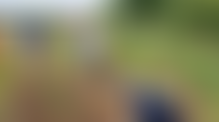 En savoir plus sur 2 projets de recherche AssoCultures et Co-Cultures sur les associations de plantes potagères à grande échelle