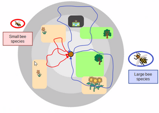 Présentation de SimOïko un simulateur des dynamiques démographiques et de déplacements des espèces animales et du développement d’un modèle de déplacement de recherche alimentaire (...)
