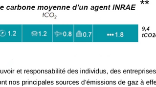 Exploration des scénarios de contribution à la neutralité carbone à l’échelle du centre INRAE Occitanie-Toulouse