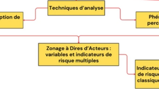 Zonage à Dires d'Acteurs dans le massif des Landes de Gascogne (Socio-écosystème forestier)