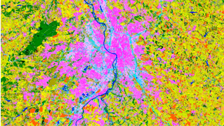 L'intelligence artificielle pour la surveillance des écosystèmes à partir de séries temporelles d'images satellites