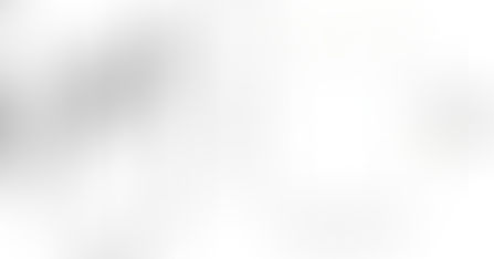 Twenty‐Two Years of Shrub Encroachment and Its Effects on Bird Communities in an African Savanna