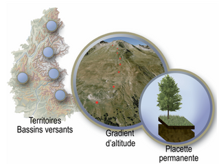 Caractérisation des dynamiques paysagères en zone de montagne