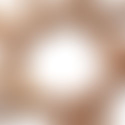 Les aires protégées en Amazonie française et brésilienne : des outils "politiques" de cont