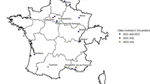 Urban green space patchiness hinders a keystone pollinator functional group and pollination effectiveness in Western Europe