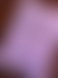 Les Mobilisations Collectives pour l’Agro-Ecologie (MCAE) à l’épreuve de leur opérationnalisation 