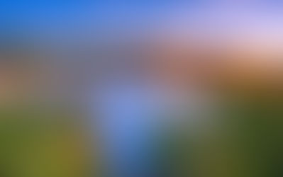 BotNidVeau : un jeu pour concilier agriculture, biodiversité aviaire et gestion des niveaux d’eau en