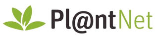A gentle introduction to cooperative learning of Pl@ntNet’s Artificial Intelligence algorithm