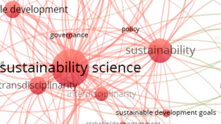 Gaps and overlaps between sustainability science and the environmental humanities
