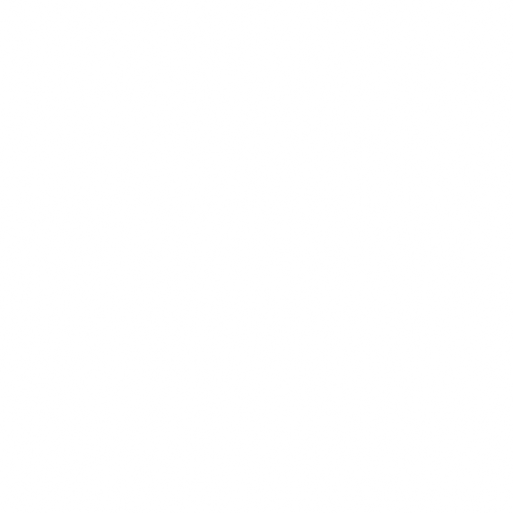 f48e8a_0c41eb92dd77492d8faf625bec5d47c4~mv2.png