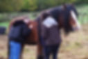 Une jeune femme sourit, la tête posée sur le ventre d'un cheval. Elle regarde une autre femme, sa thérapeute.