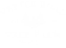 668Asset 26544.png