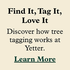 iScreen Shoter - Google Chrome - 251027170401.jpg