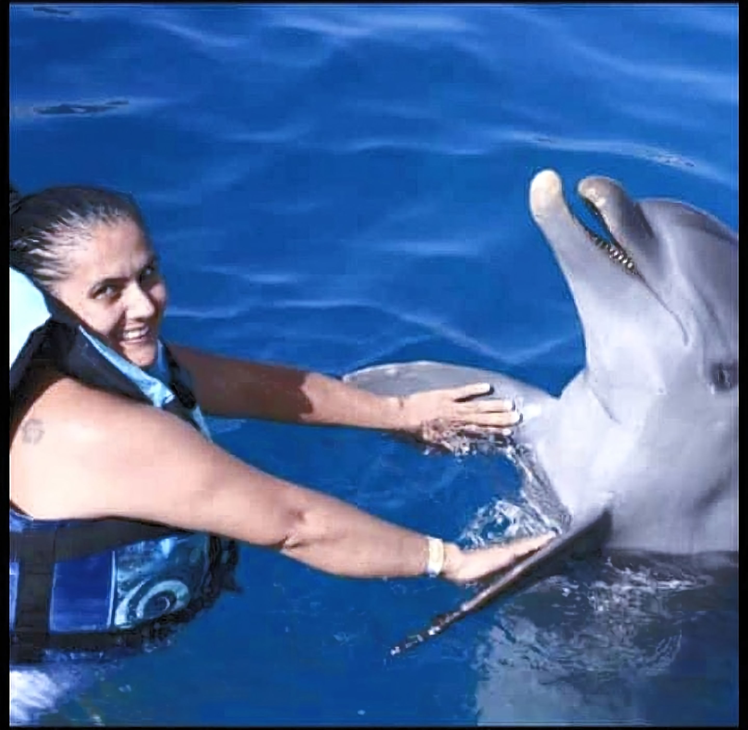 Swim with Dolphins in Punta Cana