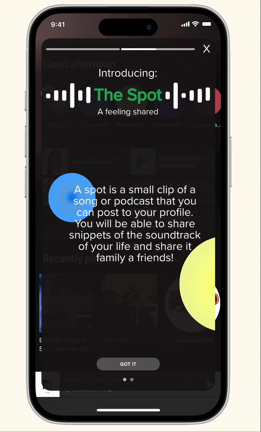 the spot prototype small.gif