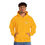 Thumbnail: EFC Hooded Sweatshirt – Timeless, Cozy, and Perfect for Everyday Style.