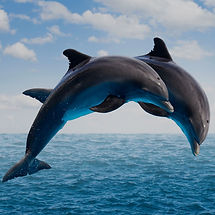 540093-istock-514343279 - Edited.jpg