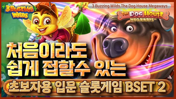 슬롯사이트
