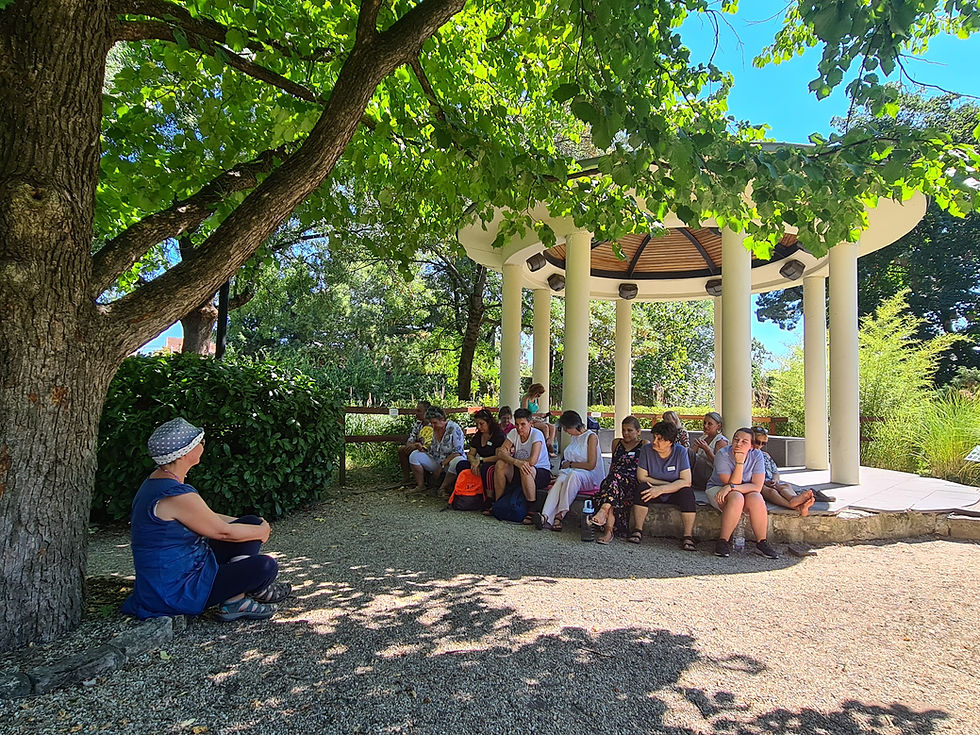 Egy csapat ember ül egy napfényes parkban