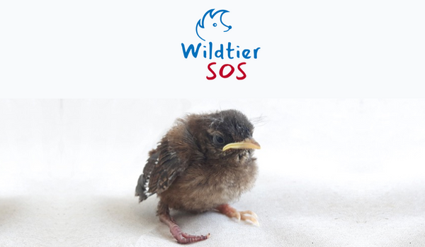 Bildschirmfoto 2026-03-14 um 16.31.23.png