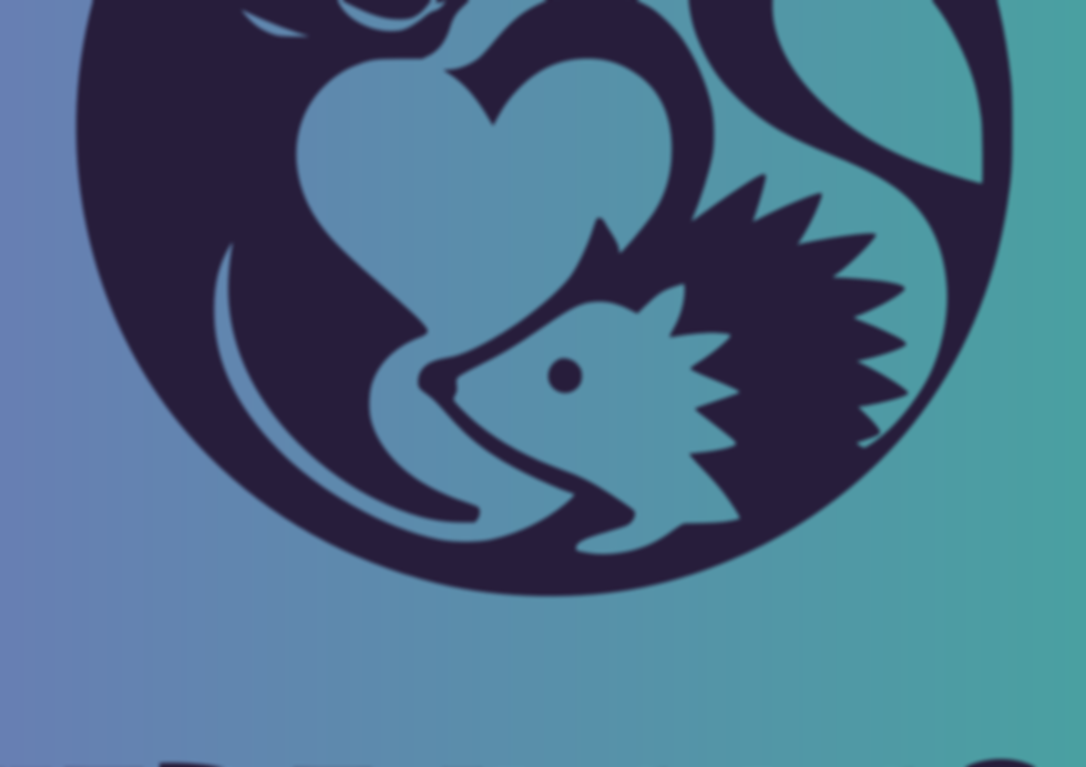 customcolor_logo_customcolor_background.png