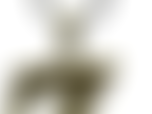 Dragonball Z necklace with Z-shaped pendant