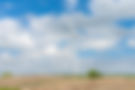Wind Turbine