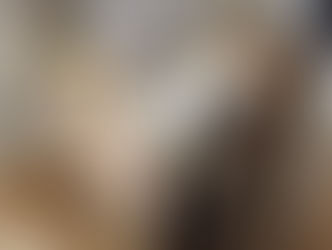 Gas Boiler Replacement & Installation Services in New York and Westchester County: Your Complete Guide