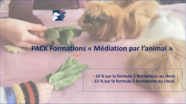 Réduction tarif formation médiation animale zoothérapie