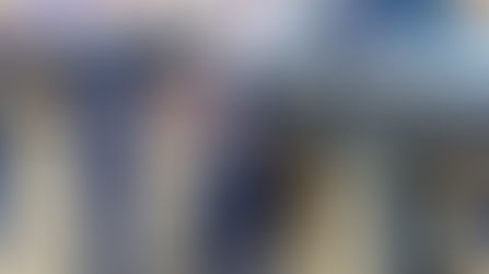 Etude sur la présence du chien médiateur à l'école