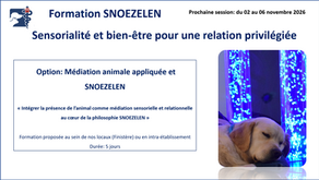 Formation SNOEZELEN Bretagne (29)