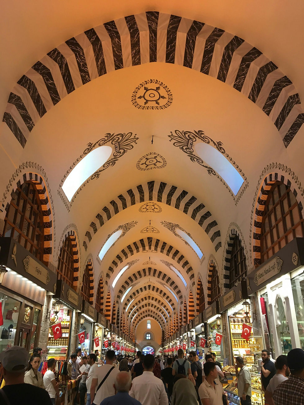 pexels-kamileeozdemir-8178316