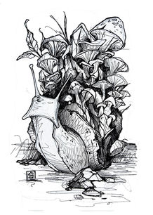 Untitled-2.jpg