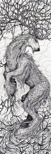 Old Growth