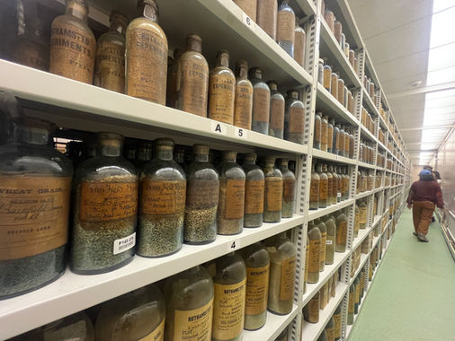 Group of students during Summer School