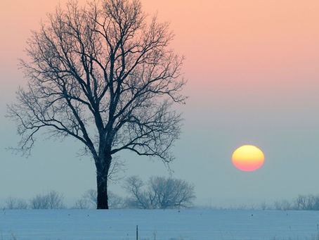 February Ag.Impact Funders Forum: Briefing note