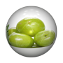 PHYLLANTHUS-EMBLICA.png