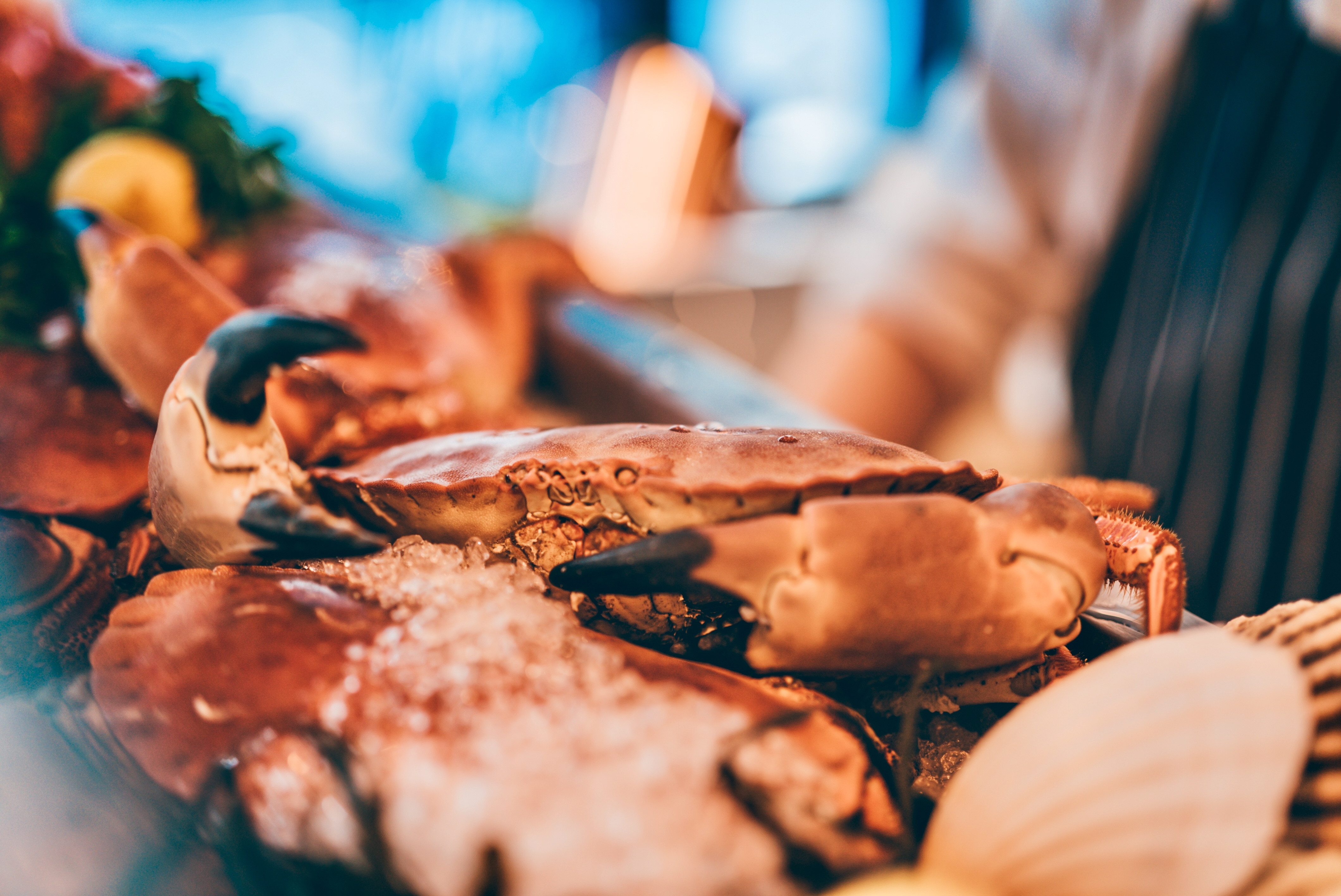 [PAST EVENT] Crab Dinner with paired wines Mysite 1