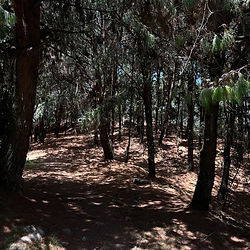 A landscape in the mountain