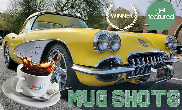 Mug Shots banner.png