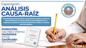 ANÁLISIS CAUSA-RAÍZ