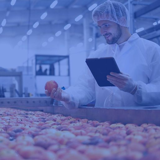 Calendario HACCP 2023 (4)_edited_edited.