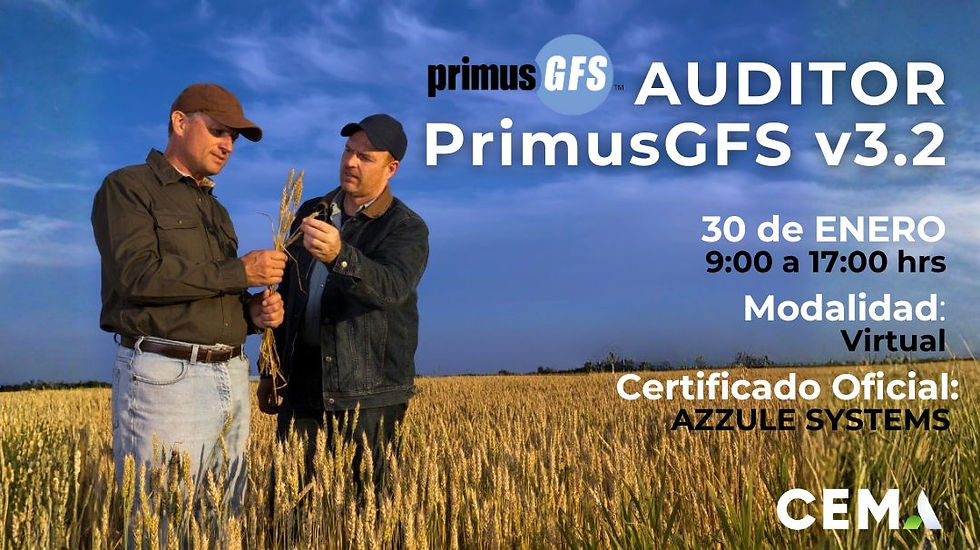 CURSO OFICIAL AUDITOR PRIMUSGFS V3.2