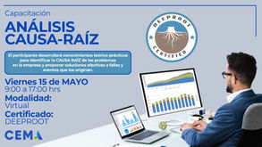 ANÁLISIS CAUSA-RAÍZ