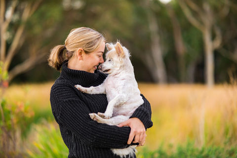 senior dog photoshoot.jpg