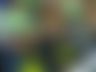 Audiência Pública debate segurança dos mototaxistas de Gravatá e tem apoio da gestão municipal