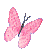butterflypink.gif